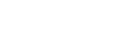 Techfem Spa