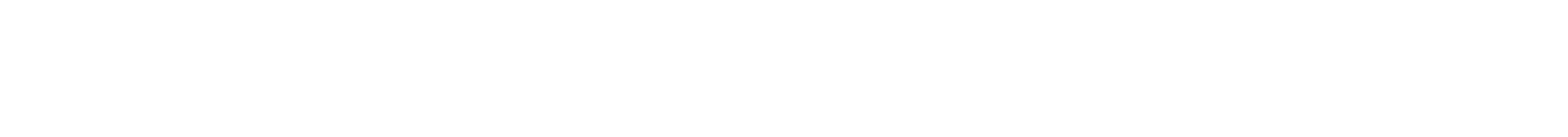 SE Logo